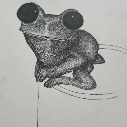 Frog