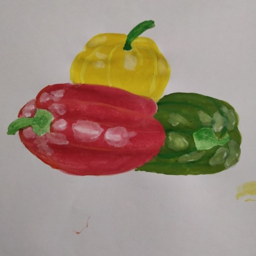 Capsicum food illustration