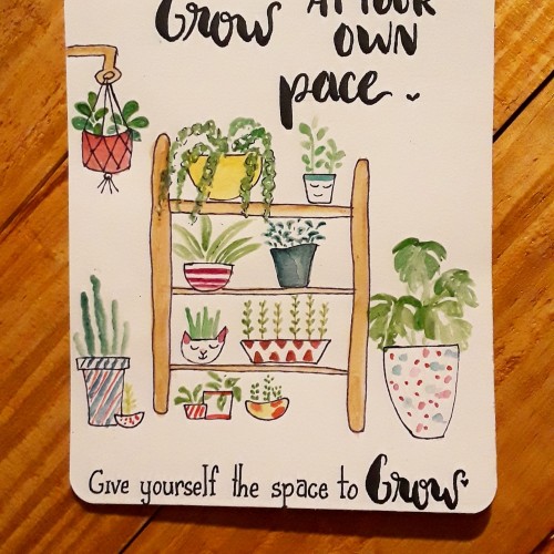 Grow at your own pace