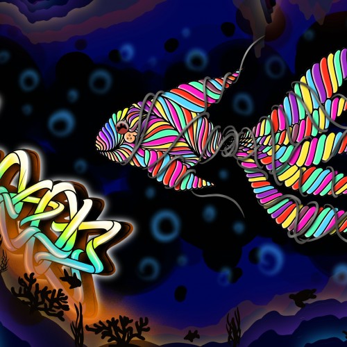 Shoker style fish colorful life ocean