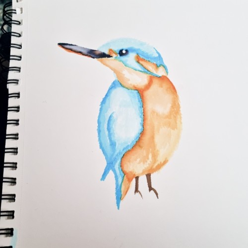 Kingfisher