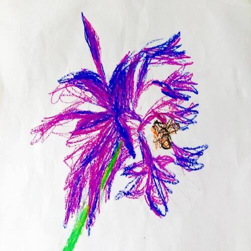 Agapanthus flower & bee