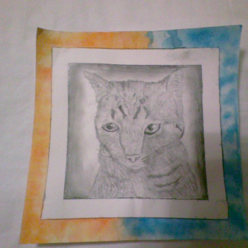 Cat Drawing