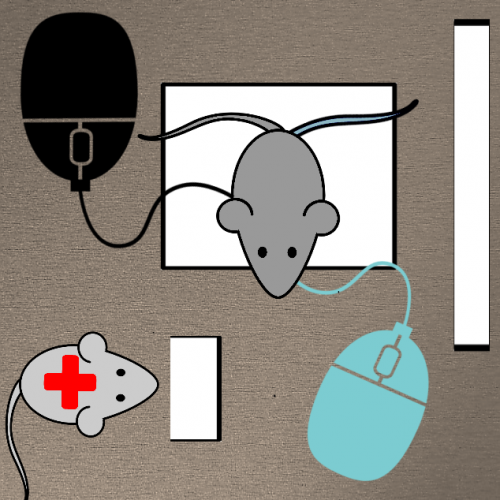 General Mouse-spital