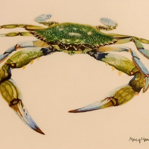 Maryland Blue Crab