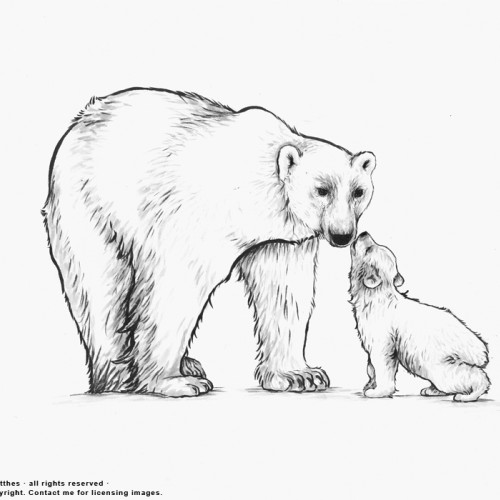 Polar Bear Family