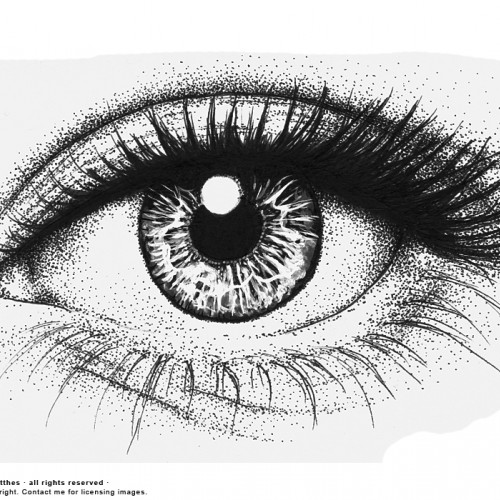 Eye