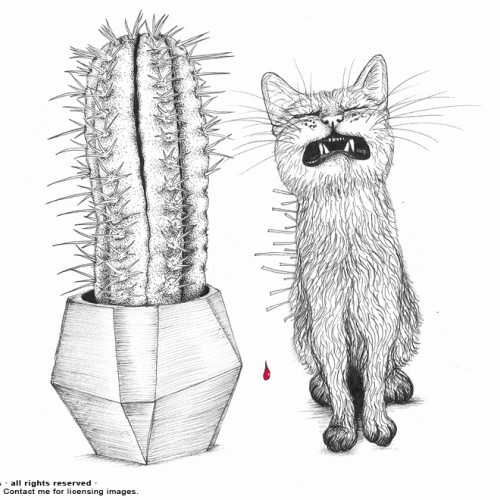 Cactus-Hugger