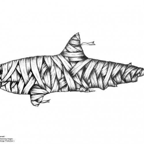 Shark-Mummy