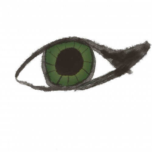 Eye study