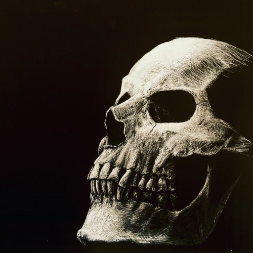 Scratchboard skull, light study