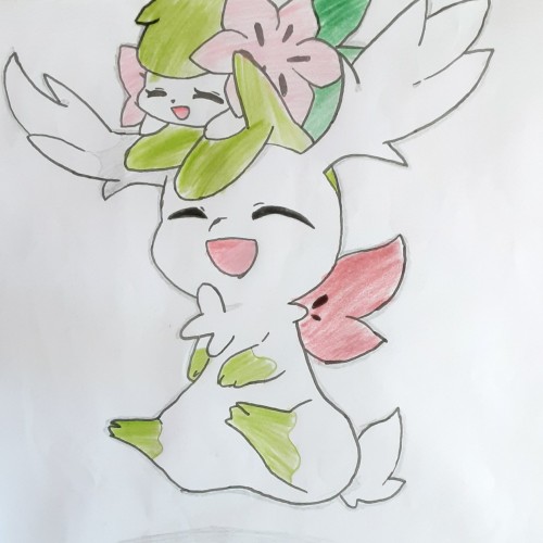 how to draw shaymin sky step 8  Pokemon coloring pages, Pokemon coloring,  Drawings