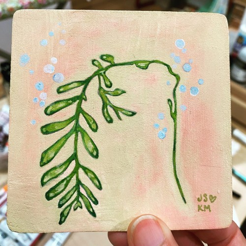 Mini Art: Sea kelp