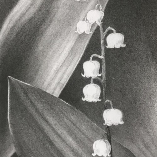 Lily of the valley