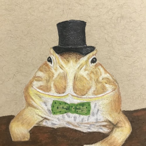 Distinguished Pac-Man Frog