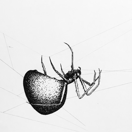 Inktober Tangle-Web spider