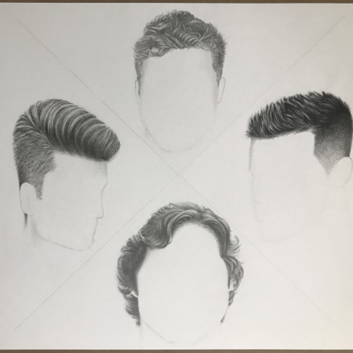 Hair study