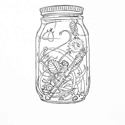 Bugs in a Mason Jar