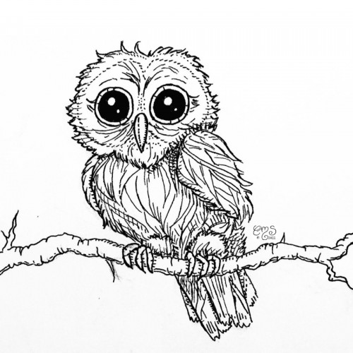 Cute Lil Owl