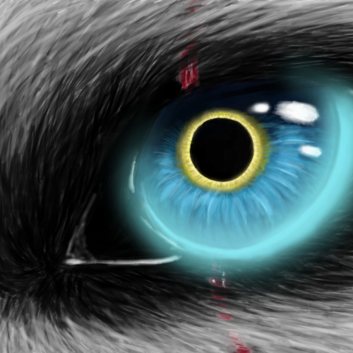 TheGlare- wolf eye study