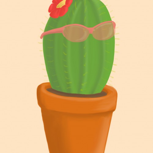 Steve the cactus