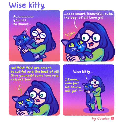 Wise kitty