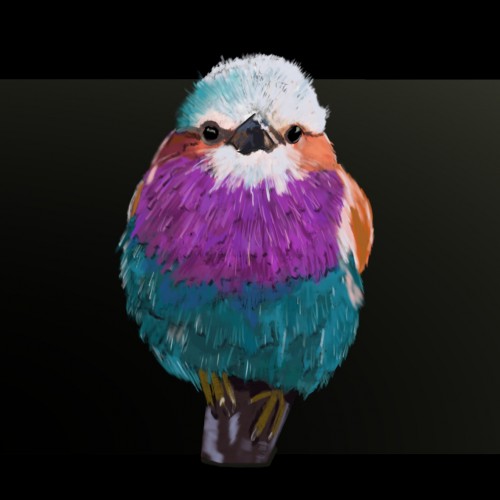 Lilac Breasted Roller