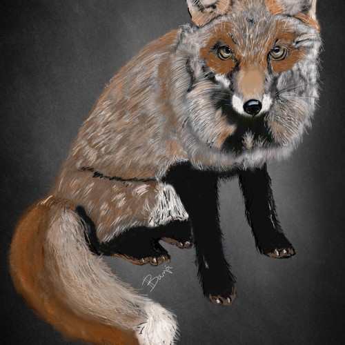 Foxy Little Character
