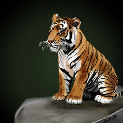 Lone Tiger Cub
