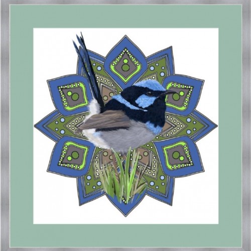 A Male Superb Fairy-Wren (Malurus Cyaneus)