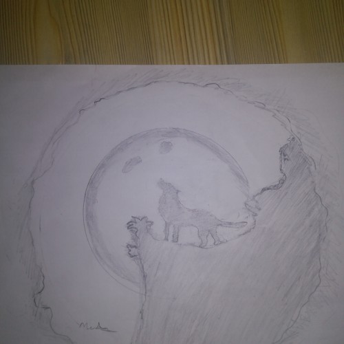 Full moon wolf