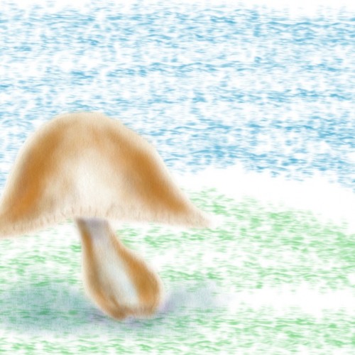 Quick Mushroom (2013)