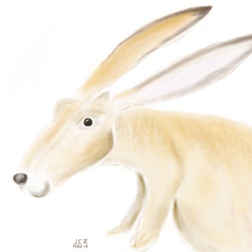 Rabbit Aardvark Cross? (2013)