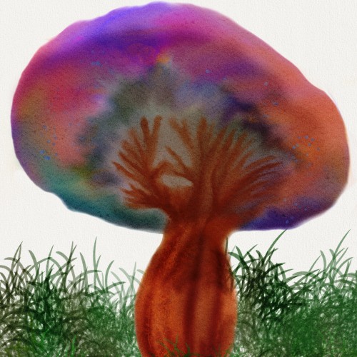 Mushroom Magic (2020)