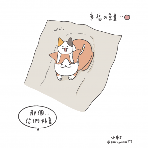 幸福的重量 The weight of happiness