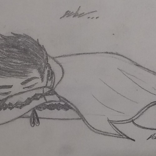A Sleeping Robin
