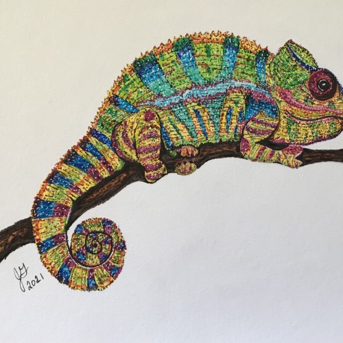 Chameleon