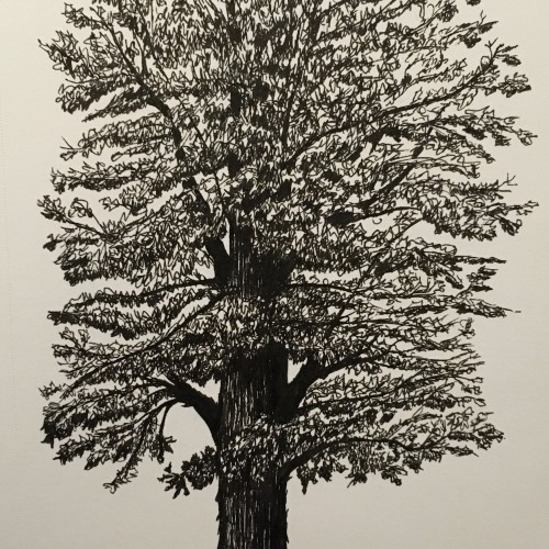 Doodle Tree