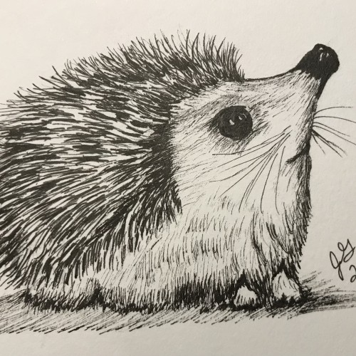 Inktober Hedgehog