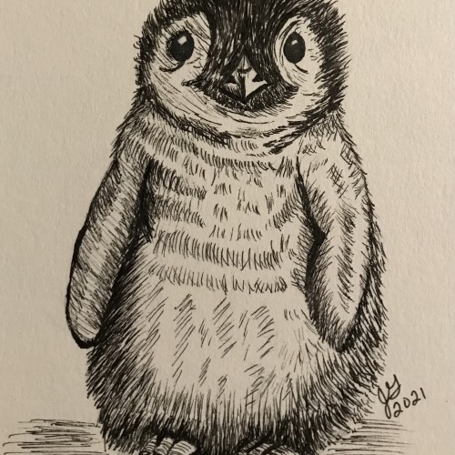 Inktober Penguin Chick
