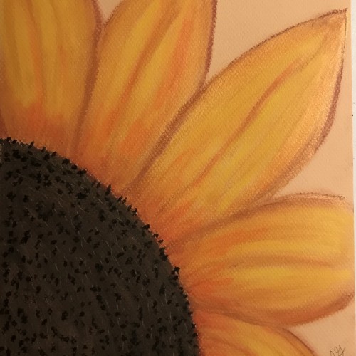 Sunflower section