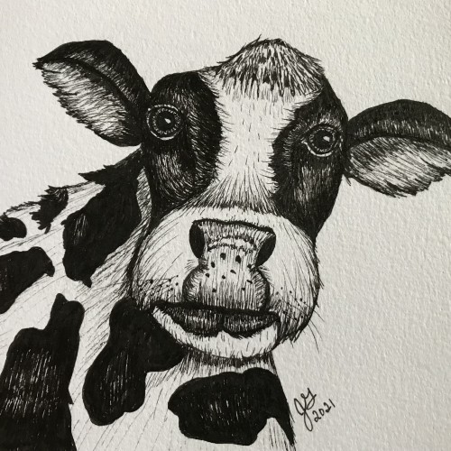 Inktober Bovine