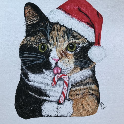 Christmas Cat