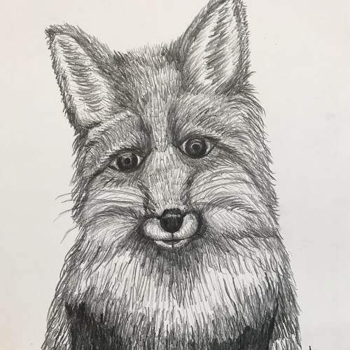 Watchful Fox