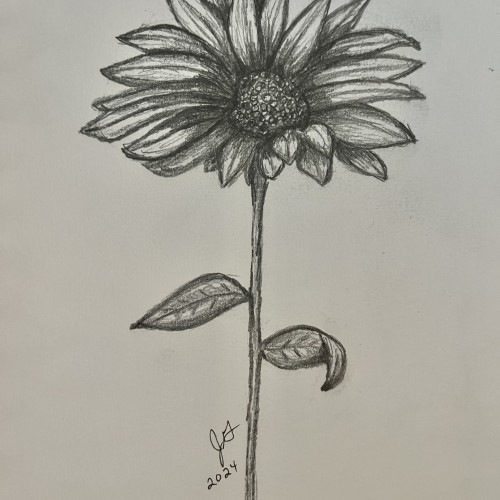 Flower practice sketch