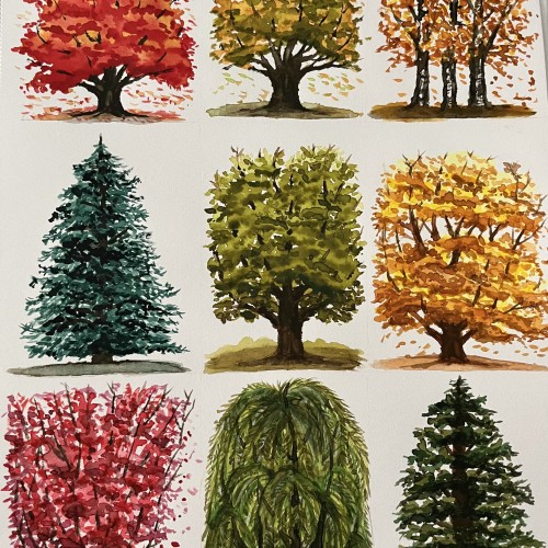 Tiny tree series
