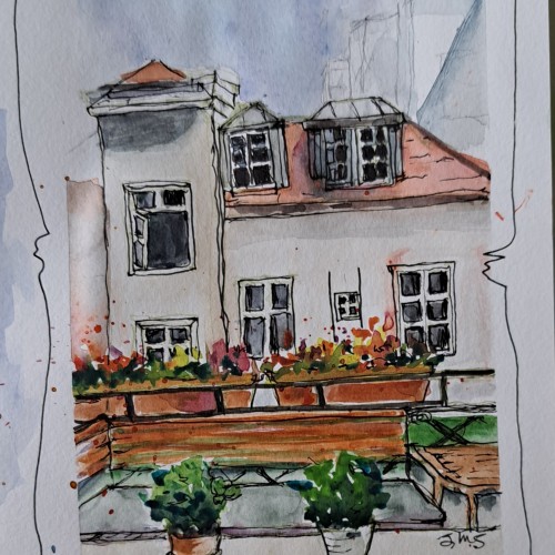 View from my kitchen window