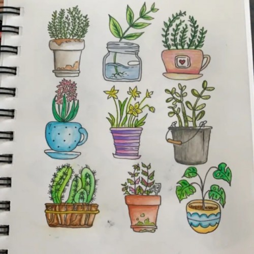 Little plants