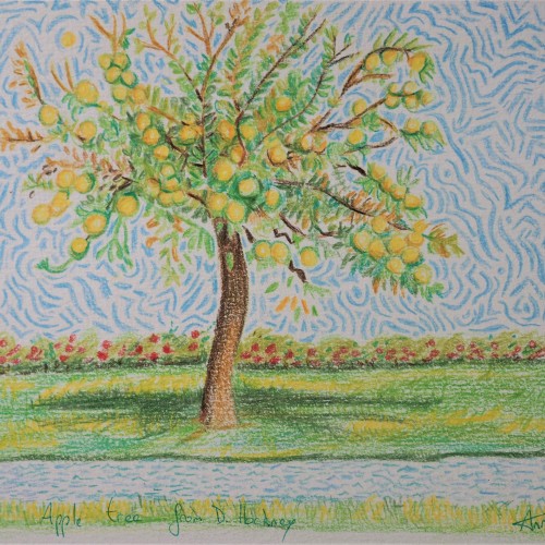 The apple tree by David Hockney