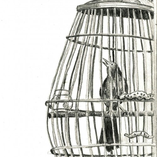 03/16 Travel Memories : Bird cage in Hong Kong